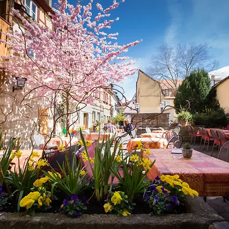 Hotel-Gasthof Goldener Greifen-2