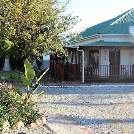 Green Olive Guesthouse-2