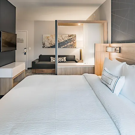 Springhill Suites By Marriott Dallas Mckinney-2