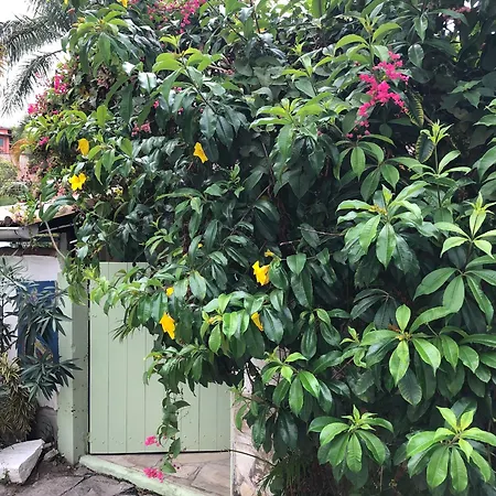 Chez Marine Guest House-2
