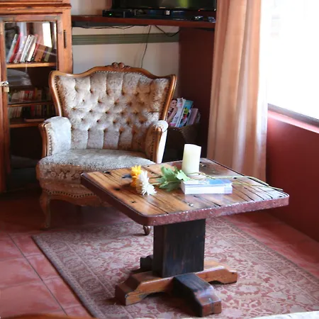 Dunedin Star Guesthouse-2