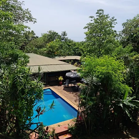Los Troncos Jasy-2
