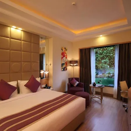 The Ocean Pearl Gardenia-2