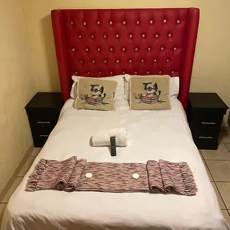 Pale Bohemia Bed And Breakfast-2