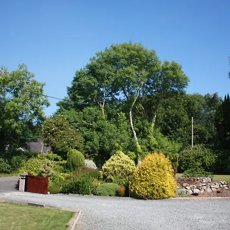 Lon Y Traeth Bed & Breakfast-3