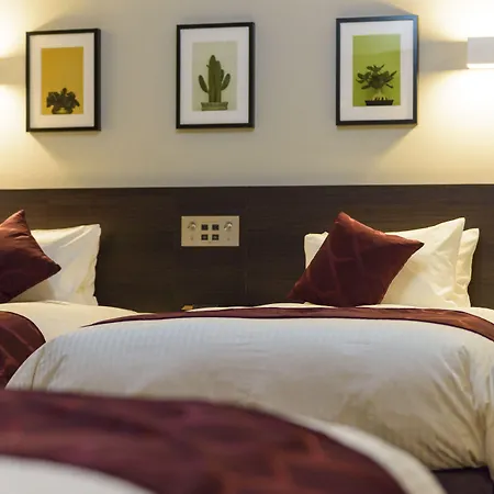 Best Western Plus Hotel Fino Chitose-3
