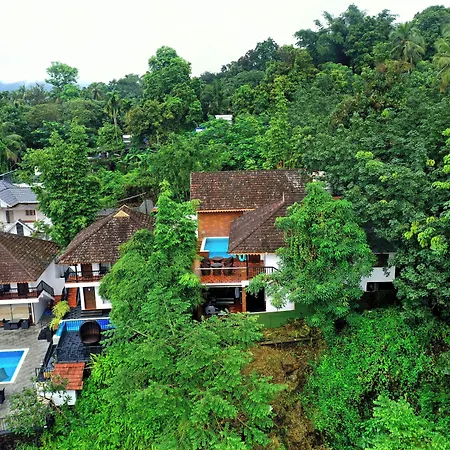 Athirapally Green Trees-2