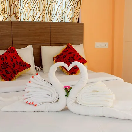 Pine Tree Munnar-2