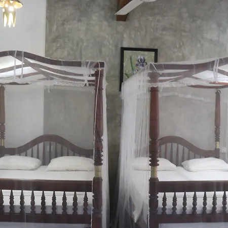 Amadeo Beach Resort-3