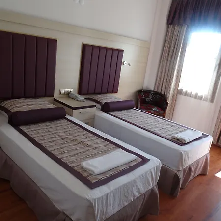 Bronze Hotel-2