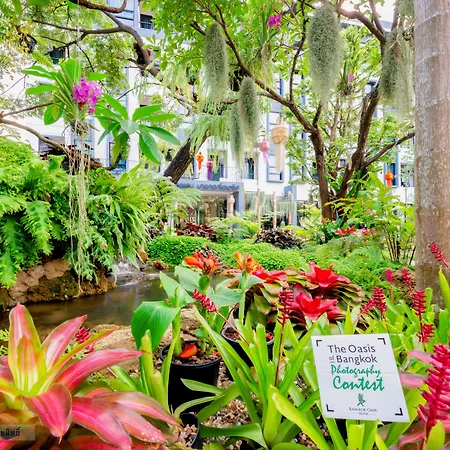 Bangkok Oasis Hotel-2