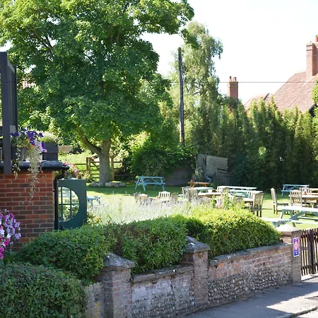 The Dolphin Inn-2