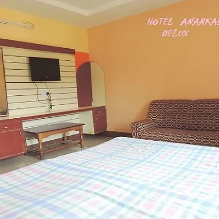 Hotel Anarkali-2