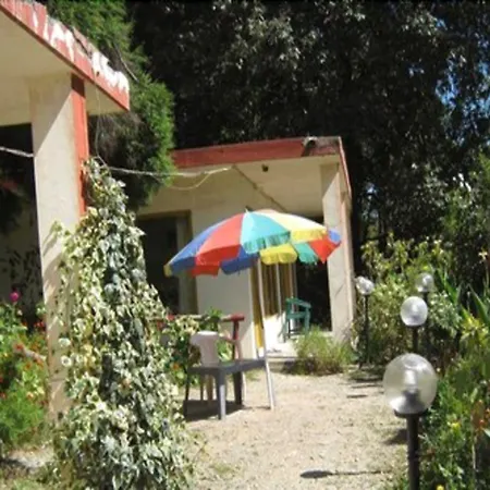 Janardan Resort Pangot - Nainital-2