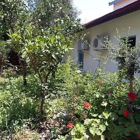 Kaş Lemon Hotel-2