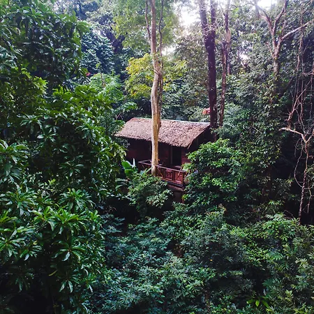 Our Jungle House-2