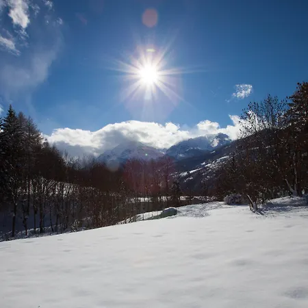 Etoile Des Neiges-3