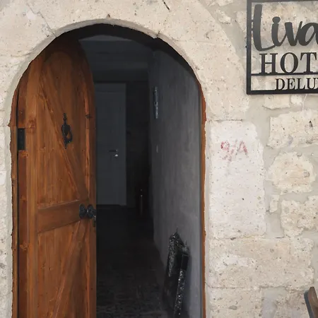 Livan Hotel Deluxe-3