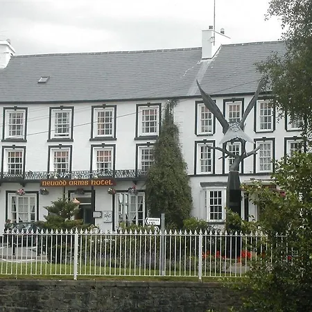 Neuadd Arms Hotel-3
