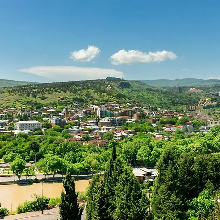 Sheraton Grand Tbilisi Metechi Palace-2