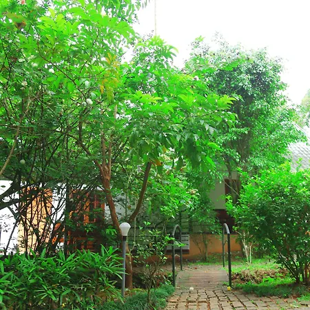 Vythiri Greens Holiday Resort-3