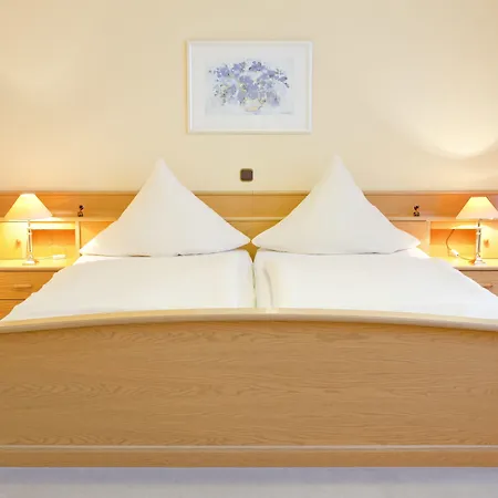 Hotel Birkenstern-3