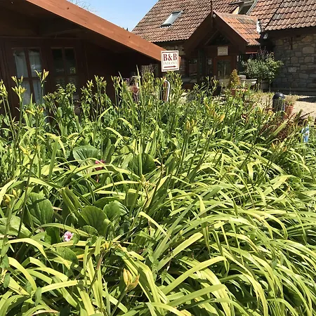 Bridge Farm Guesthouse Rooms-2
