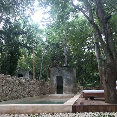 Verde Morada-2