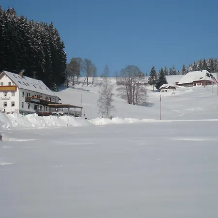 Gasthaus Pension Donishäusle-3