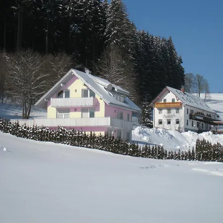 Gasthaus Pension Donishäusle-2