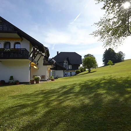Hotel Zum Ochsen-3