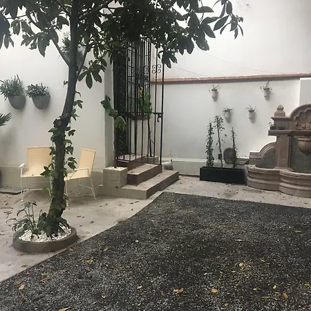 Orchid House Mexico City-2