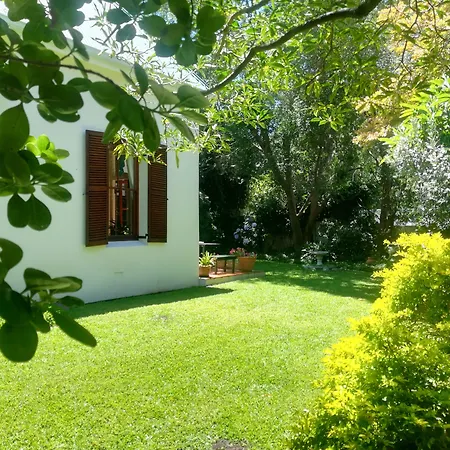 Newlands Guest House-3