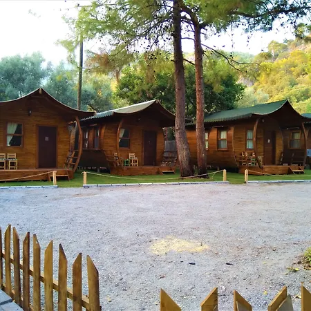 Green Pine Beach & Bungallows-3