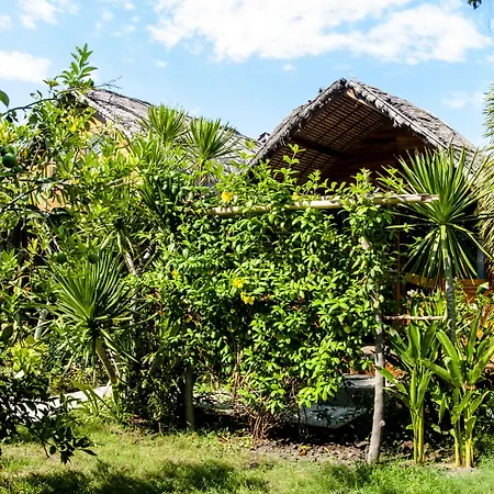 Cotton Tree Cottages-2