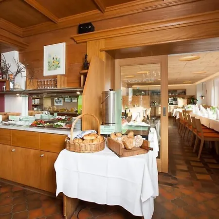 Hotel Gasthof Handl-3