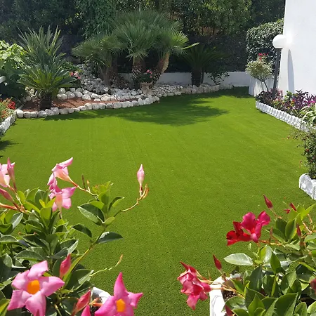 Hotel Le Palme-2