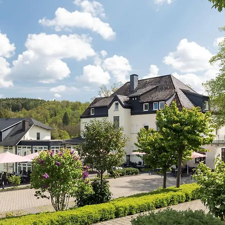 Dorint Parkhotel Siegen-3