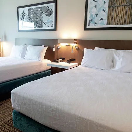Hilton Garden Inn Spartanburg-2