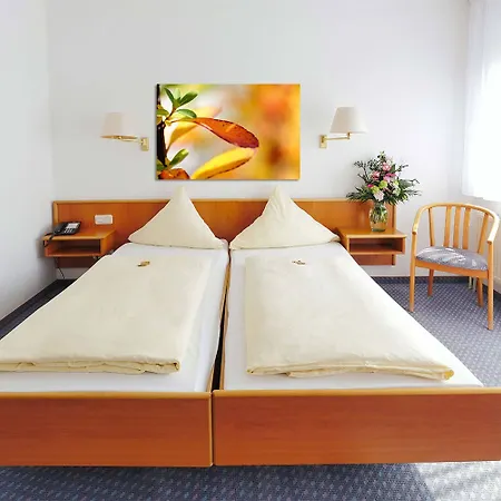 City Hotel Mark Michelstadt-2