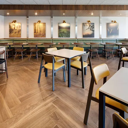 Fairfield Inn & Suites By Marriott Tampa Wesley Chapel-3