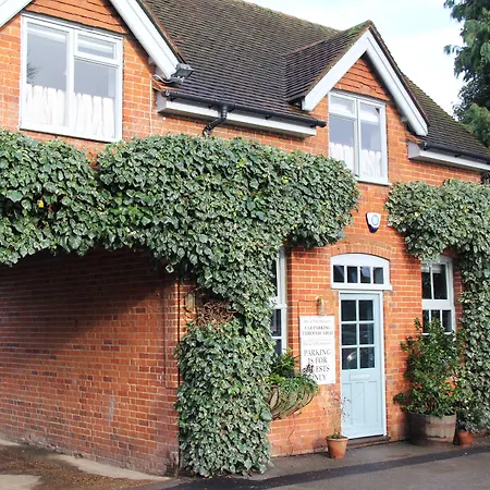 Bel And The Dragon-Odiham-3