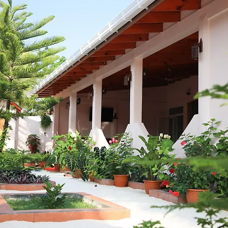 Evila Inn - Thoddoo-2