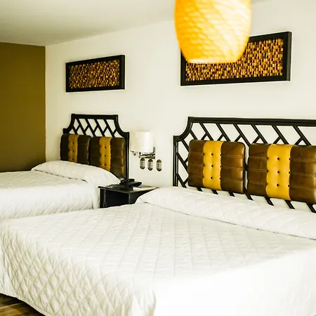 Hotel Maria Dolores San Luis Potosi-3