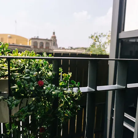 Myplace Zocalo-3
