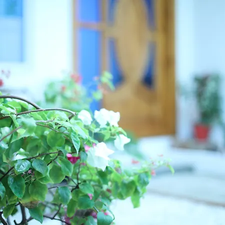 Moodhu Surf House-2