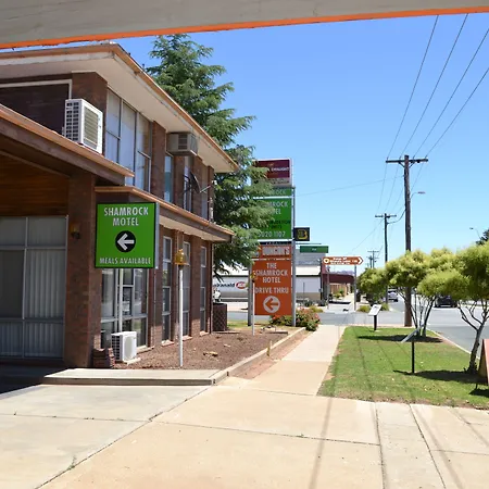 The Shamrock Hotel Balranald-3