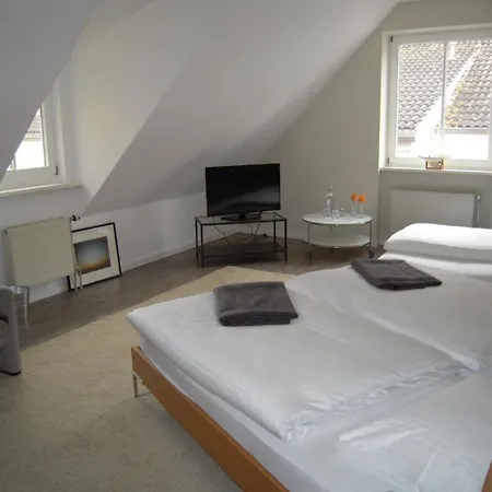 Landgasthof Pleister Muehle-2