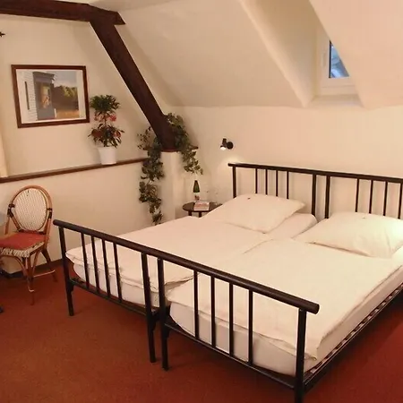 Nassauer Hof-3