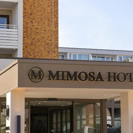 Mimosa Hotel-3